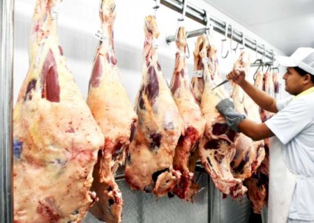 Tarifaço estremece a relação do agro de MS com os Bolsonaro