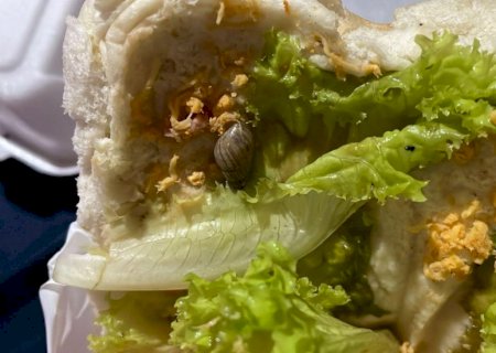 ‘Com carinho’, lanchonete manda lanche com caramujo e choca cliente em MS>