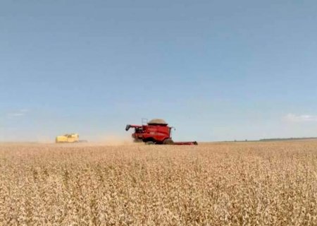 Setor produtivo vê "fôlego" em projeto de lei para negociação de dívidas