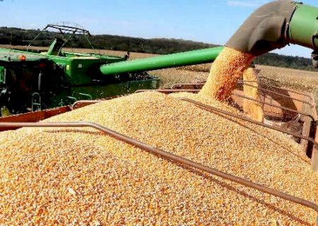 Depois da carne, Trump mira soja; setor em MS quer garantir competitividade