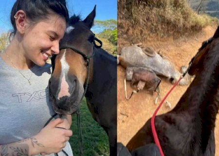 Ana Castela expõe homem que teria cortado patas de cavalo: 'Covarde'