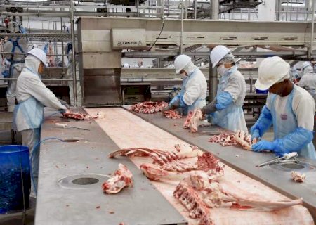 Indústria de MS mantém estabilidade em 77% das empresas
