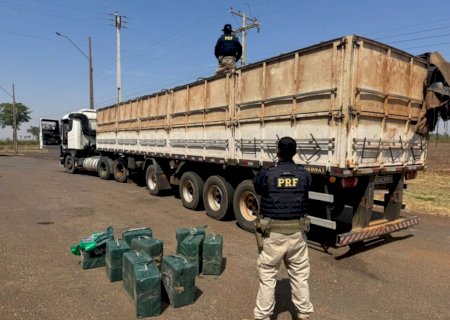 Motorista de caminhão é flagrado transportando 329 kg de cocaína em meio a milho