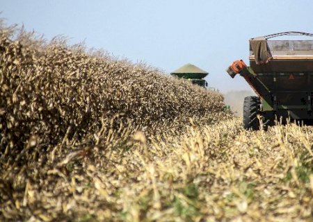 Safra de milho chega a 90,9% colhida em MS com risco de perdas no sul