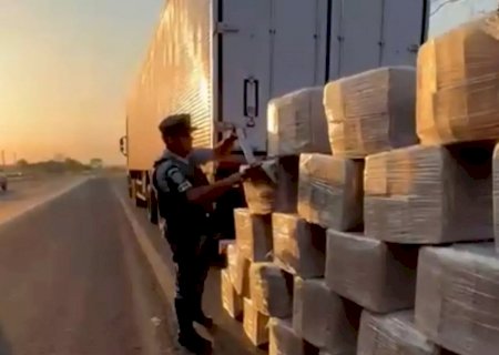 Maconha que saiu de Dourados escondida em frangos é apreendida em SP
