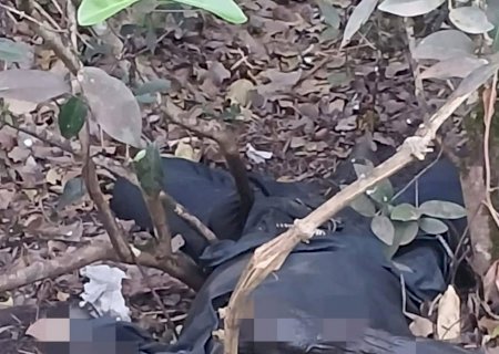 Caarapó: corpo em decomposição é encontrado em terreno baldio na rua Doutor Coutinho, Vila Planalto