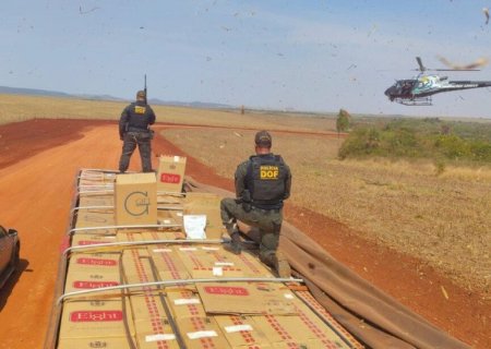 DOF barra carreta com carga de R$ 2,2 milhões em cigarros e defensivos contrabandeados