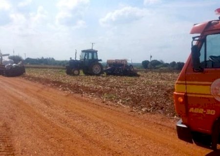 Trabalhador rural morre após ser atacado por enxame de abelhas em Fátima do Sul