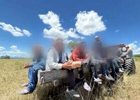 N&uacute;mero de adolescentes resgatados no trabalho escravo triplica em MS