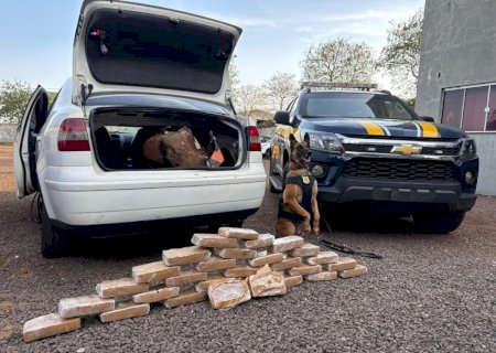 Motorista é preso com 30 tabletes de crack em Dourados