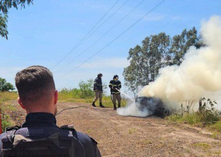 PRF apreende 300 Kg de maconha em Naviraí (MS)