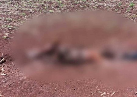 Corpo de homem é encontrado parcialmente enterrado em Ponta Porã