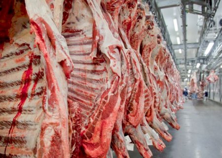 Produção de carnes deve bater recorde em 2026>