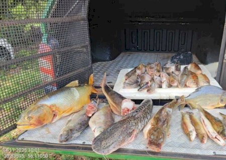 Pescador profissional é multado por armazenar peixes nativos