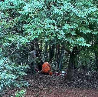 Mulher é atacada e sofre tentativa de estupro durante corrida no Parque dos Poderes