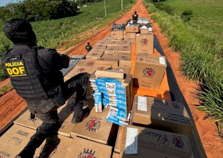DOF apreende caminhões e carro carregados com mais de 27 mil pacotes de cigarros e 10 toneladas de agrotóxicos>
