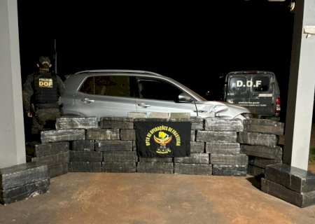 Carga de maconha avaliada em R$ 1 milhão é abandonada em canavial após perseguição