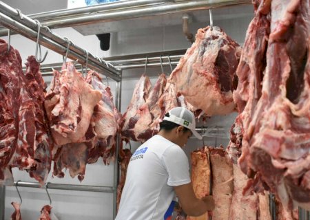 Exportação de carne dispara em MS mesmo sob tarifaço