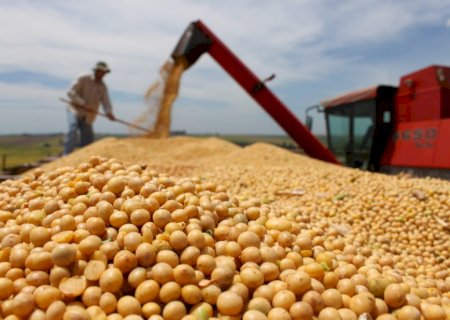Com preços em baixa, comercialização da soja em MS recua e fica abaixo de 25%