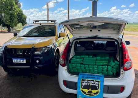 BPMRv apreende 200 kg de maconha durante fiscalização na MS-156, em Amambai