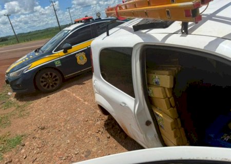 Polícia apreende quase uma tonelada de maconha em veículo