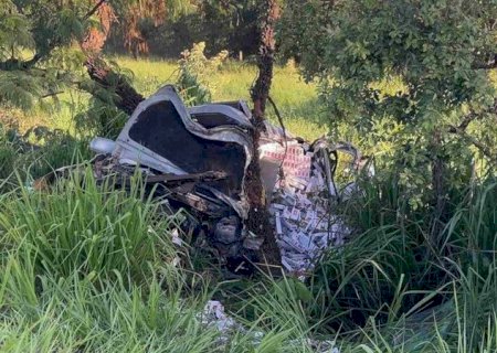 Motorista morre após atropelar javali e bater contra árvore na BR-267