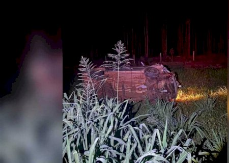 Motorista atropela javali, capota carro e fica ferido na BR-376