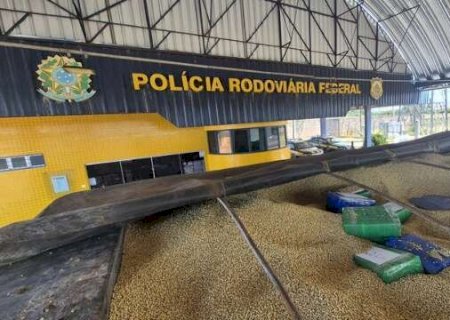 PRF apreende 3 toneladas de maconha enterrada em carga de soja que saiu de MS
