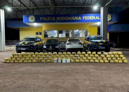 Dois são presos pelo transporte de skunk em Miranda