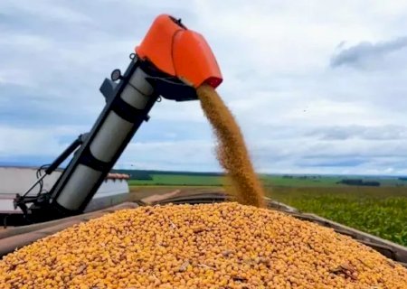 Colheita da soja em MS alcança 82% da área e plantio do milho chega a 84,6%