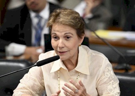 Tereza avisa o PL que não quer ser vice de Flávio Bolsonaro