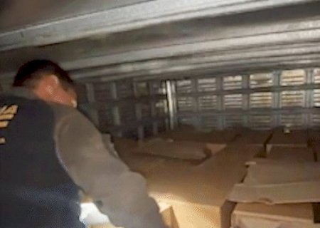 Cargas de quase 4 toneladas de maconha s&atilde;o apreendidas; suspeito fugiu pela mata