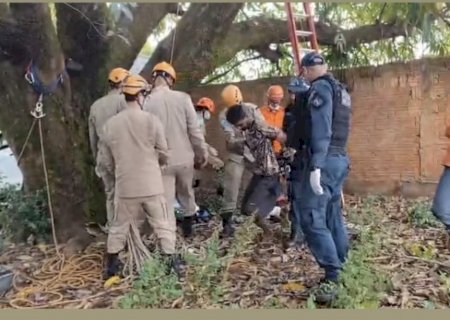 Homem foge da polícia e fica 8 horas em cima de pé de manga em Caarapó