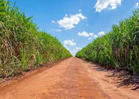 Artigo: Mapeamento De Plantações De Cana-de-açúcar Em SãoPaulo Com Análise Via Satélite