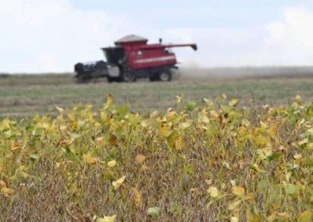 MS &eacute; o 4&deg; estado com mais pedidos de recupera&ccedil;&atilde;o judicial no agroneg&oacute;cio