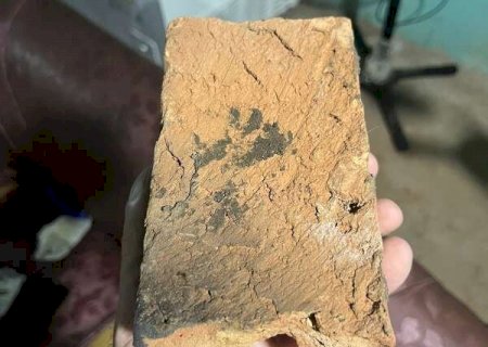 Mulher mata marido a tijolada e &eacute; solta por agir em leg&iacute;tima defesa