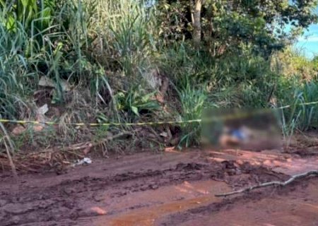 Corpo de mulher com perfura&ccedil;&atilde;o na cabe&ccedil;a &eacute; encontrado &agrave;s margens de estrada