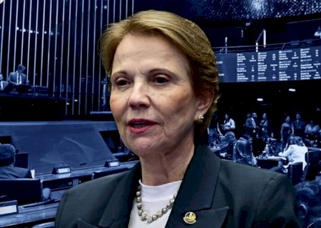 Tereza diz que posto de vice não cabe em seus projetos e outras mulheres entram na mira de Flávio Bolsonaro&nbsp;