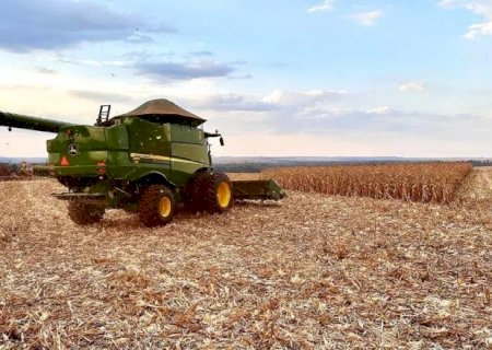 Com seca no sul, s&oacute; 41% das lavouras s&atilde;o consideradas boas e venda cai>