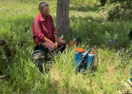 No mapa do trabalho escravo, MS tem 28 fazendas na "lista suja"