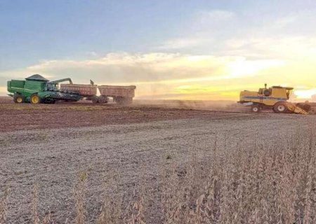 Colheita da soja e plantio do milho entram na fase final em MS