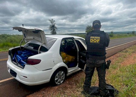 DOF apreende 700 kg de maconha após perseguição e prende motorista
