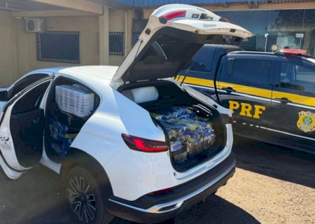 Polícia apreende quase uma tonelada de maconha em veículo