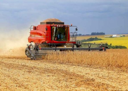 Safra bate recorde no pa&iacute;s e MS consolida for&ccedil;a com 8,2% da produ&ccedil;&atilde;o>