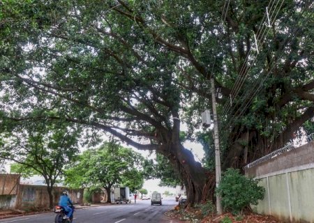 Crian&ccedil;a &eacute; encontrada chorando ao lado de pai b&ecirc;bado em show