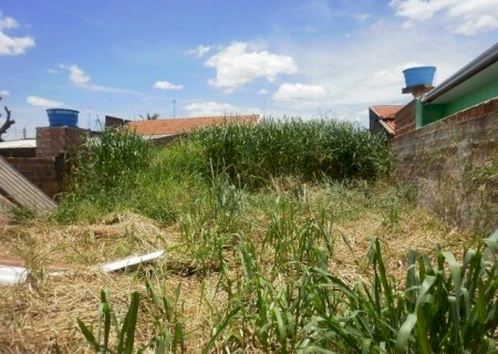 Prefeitura de Caarapó começa a multar proprietários por falta de limpeza de terrenos