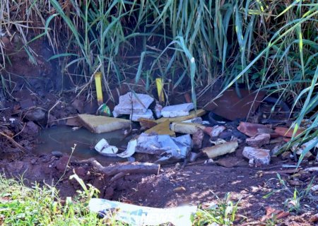Itaporã registra 1ª vítima da Chikungunya e óbitos pela doença chegam a 21 em MS>
