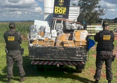 DOF apreende mais de meia tonelada de drogas escondidas em caminhão de mudança