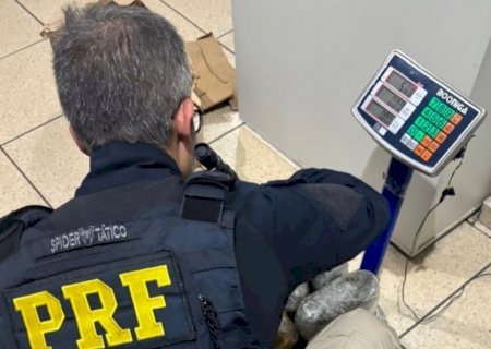 Menor é apreendido com mais de 11 quilos de skunk na BR-262