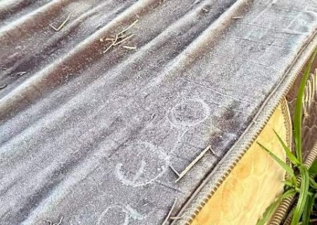 Leve geada cobre lavoura de milho e atinge Caarapó e mais 5 munic&iacute;pios de MS>